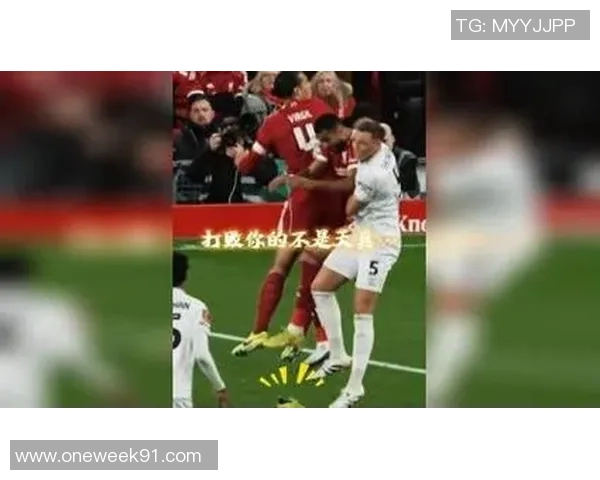 我才是足球的灵魂与激情探寻球场背后的故事与梦想