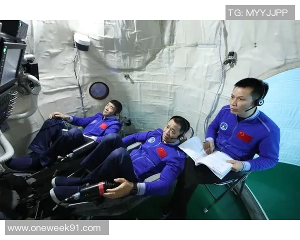 王秀英专访揭秘排球成功秘诀与背后故事