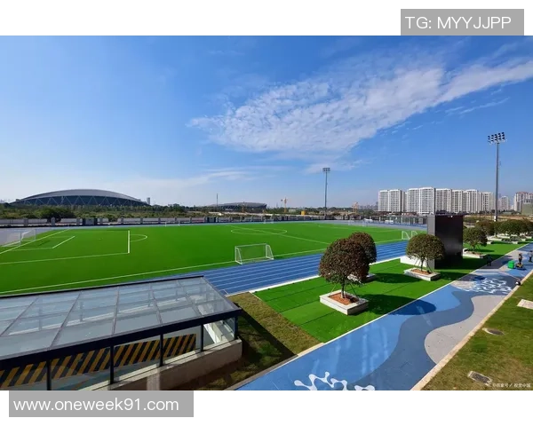 足球场是否需要空调来提升比赛体验和观众舒适度的探讨 足球场是否需要空调来提升比赛体验和观众舒适度的探讨