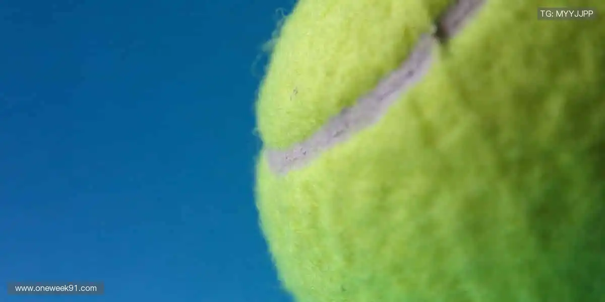 ✨ 突破极限，超越自我！体育精神，由你我共同书写！